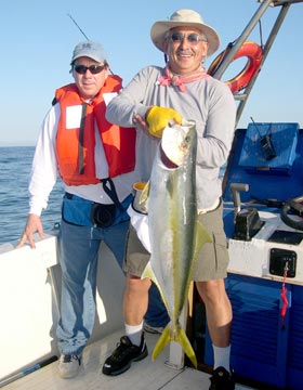 Mike Kanzler's Yellowtail Tournament Trip To Cedros Island Photo