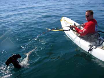 East Cape Kayak Fishing Photo 5