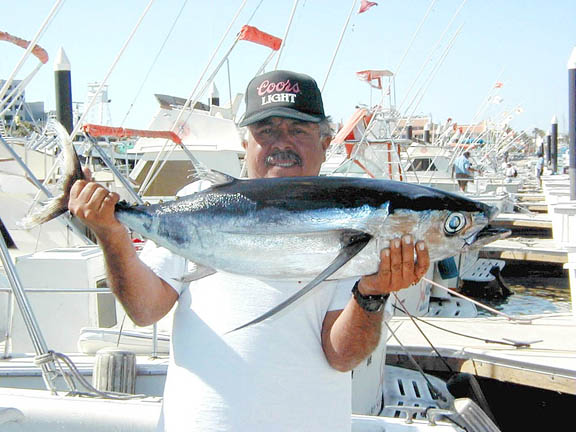 Albacore Photo 2