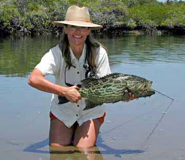 Broomtail Grouper fish picture 5