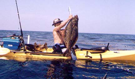 California Halibut fish picture 3