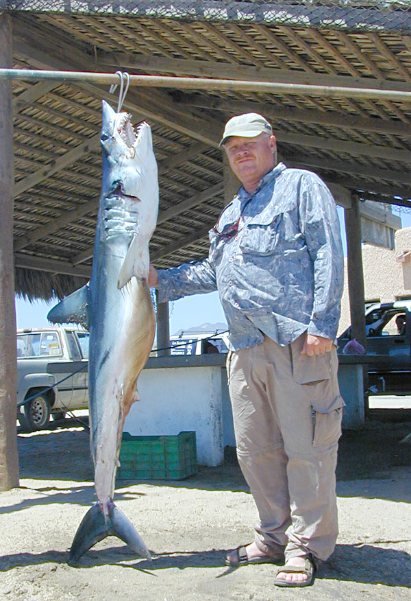 Mako Shark fish picture 5