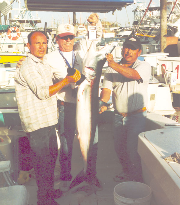 Mako Shark fish picture 7