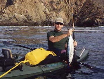 Eastern Pacific Bonito fish picture 3