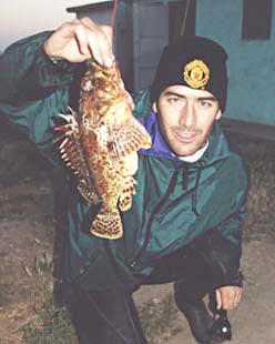 Pacific Spotted Scorpionfish fish picture 6