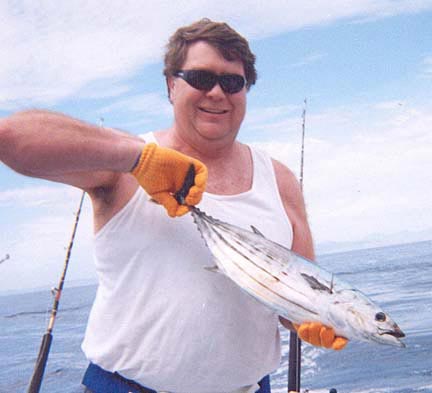 Skipjack Tuna Photo 2