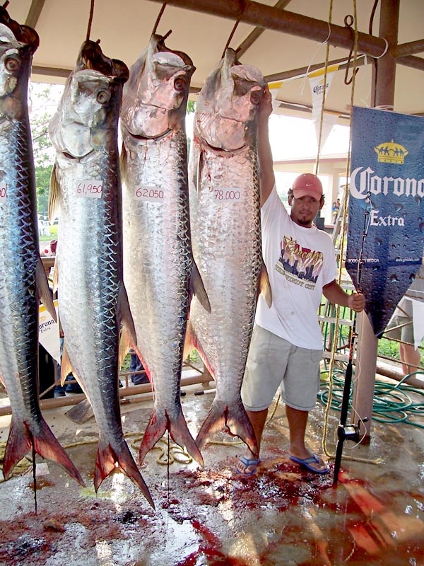  Tarpon Photo 2