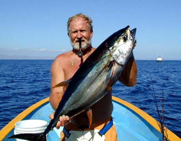 yellowfin tunas