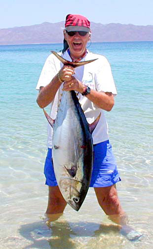 Surf caught snook.