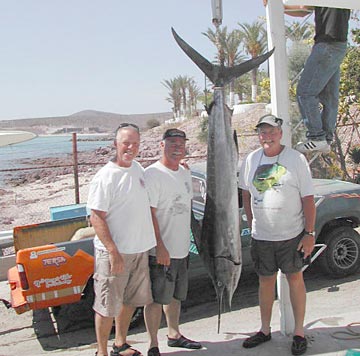 Mexico Fishing Photo