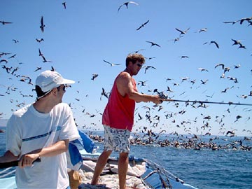 Mexico Fishing Photo