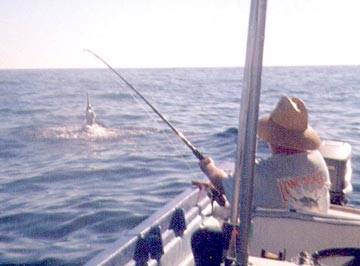 Mexico Fishing Photo