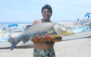 Mexico Fishing Photo