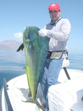 Mexico Fishing Photo