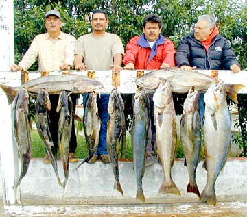 Mexico Sportfishing Photo 1