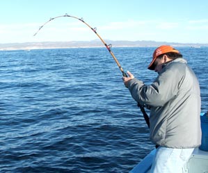 San Jose del Cabo Mexico Sportfishing Photo 7