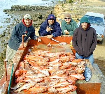 Mexico Sportfishing Photo 1