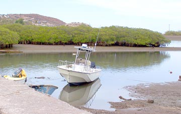 Mulege Sportfishing Photo 1