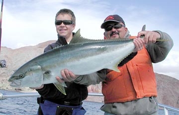 Bahia de los Angeles Sportfishing Photo 1