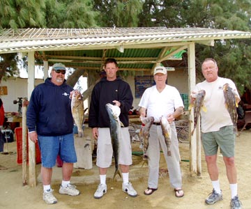 Midriff Sportfishing Photo 1