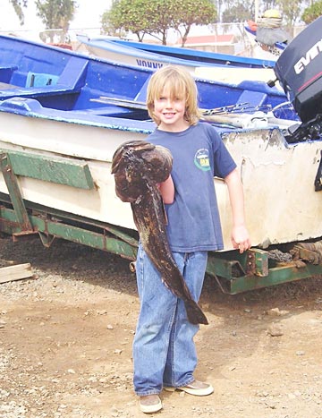 Ensenada, Mexico Sportfishing Photo 1