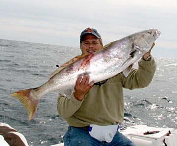 Rocky Point Sportfishing Photo 1