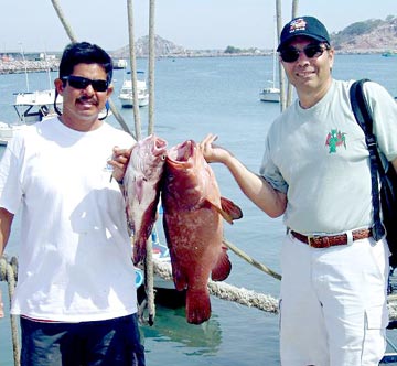 Mazatlan Sportfishing Photo 1