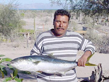 Loreto Sportfishing Photo 1