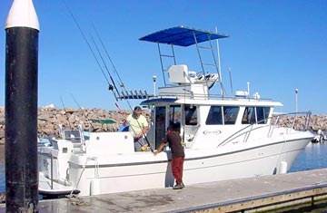 Loreto Sportfishing Photo 1