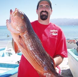 La Paz Fishing Photo 2