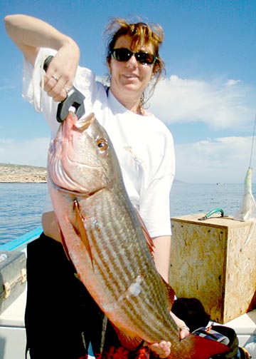 La Paz Fishing Photo 1