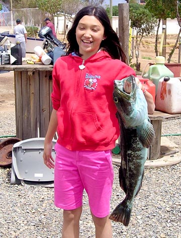 Ensenada Fishing Photo 2