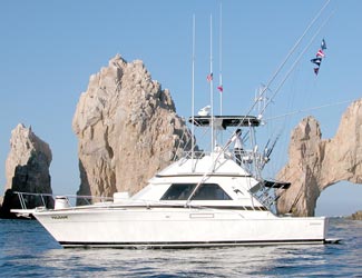 Cabo San Lucas Photo 3