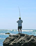 Magdalena Bay Mexico Fishing Photo 2