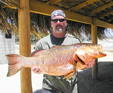 San Jose del Cabo Fishing Photo 2