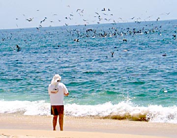 San Francisquito Mexico Fishing Photo 1