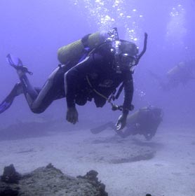 East Cape Mexico Fishing Photo 2