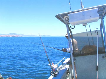 Sea of Cortez Midriff Mexico Fishing Photo 1