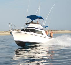 East Cape Mexico Fishing Photo 1