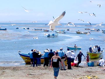 Punta Eugenia Mexico Fishing Photo 1