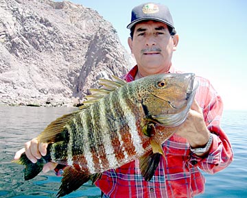 Bahia de los Angeles Mexico Fishing Photo 1