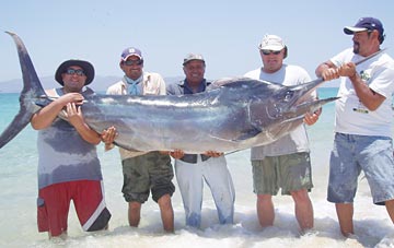 La Paz Mexico Fishing Photo 1