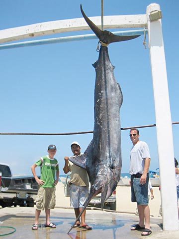 San Jose del Cabo Los Cabos Mexico Fishing Photo 2