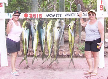 Loreto Mexico Fishing Photo 1