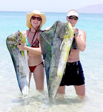 La Paz Mexico Fishing Photo 2