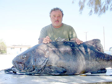 Baja Mexico Fishing Photo 1