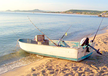 East Cape Mexico Fishing Photo 4