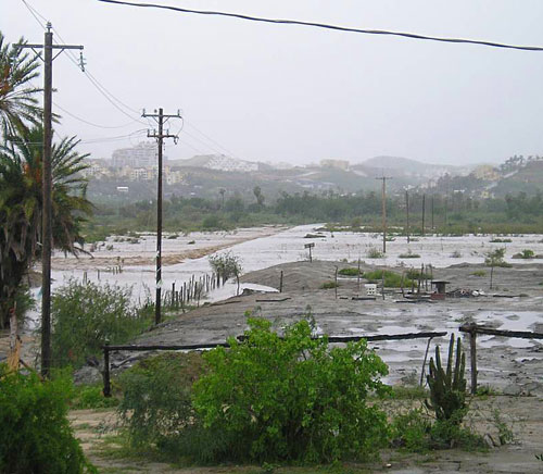 San Jose del Cabo Mexico Photo 1