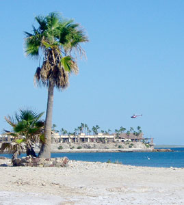 Punta Chivato Mexico Fishing Photo 1