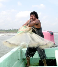 Mexico Fishing Photo 2